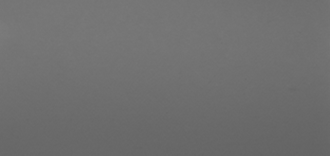 Neptune Grey Hypalon Color